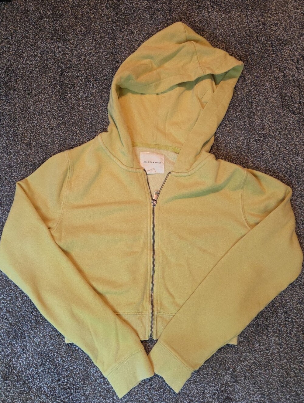 American Eagle Outfitters Light Green Zip Cropped Hoodie